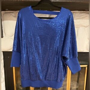 Skinnygirl Shimmering Blue Sequin Top